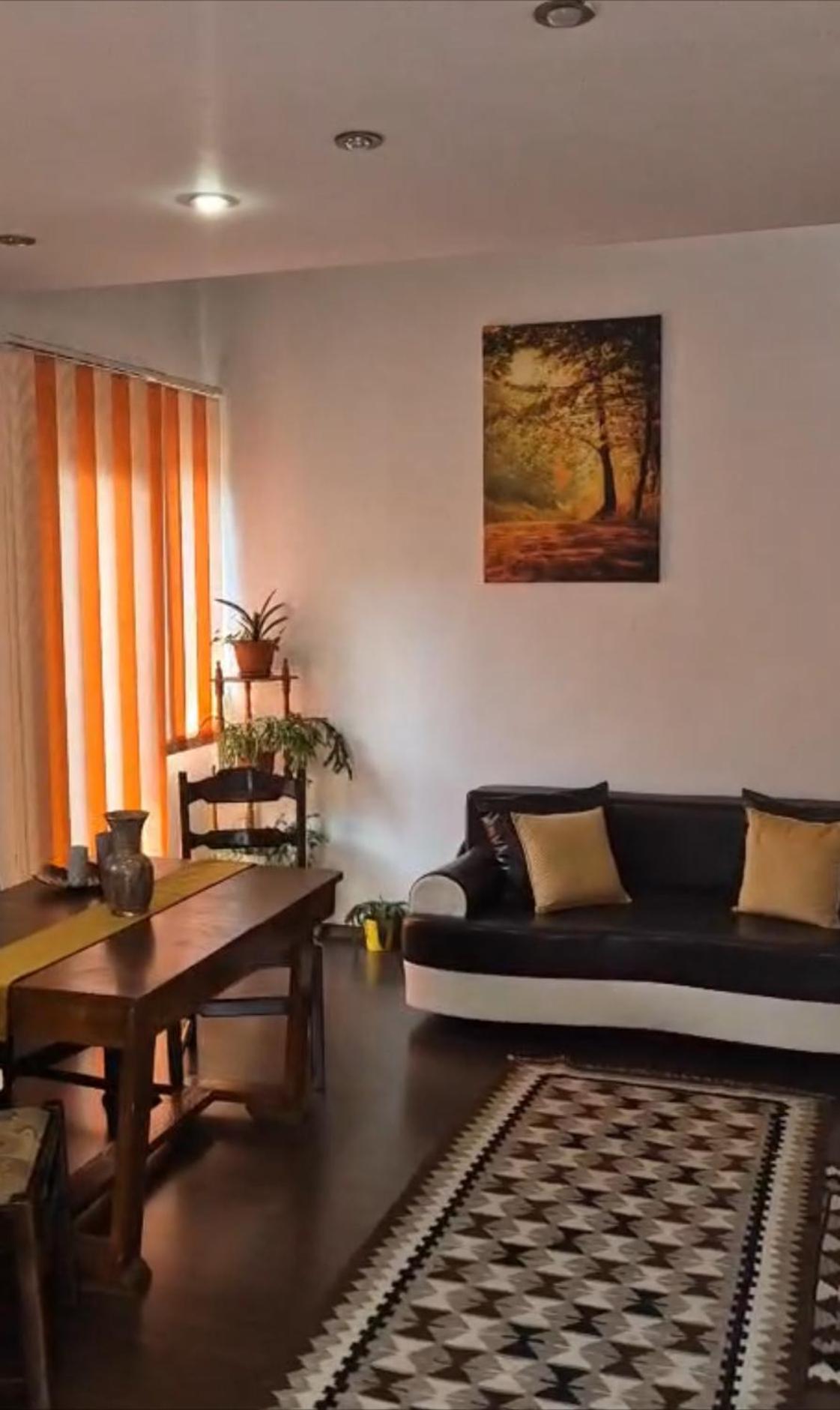 Apartament River *